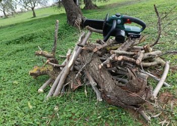 recensione 1 motosega bg