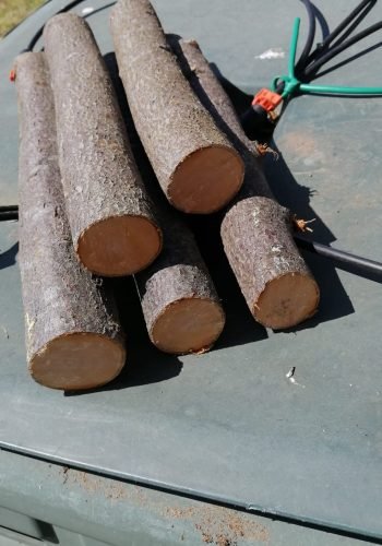 recensione 3 motosega bg