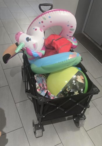 recensione 4 carellino